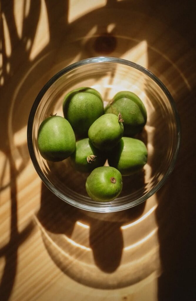 Baby Kiwi Sabrina Fiedler Fotografie Krefeld Düsseldorf